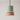 Luminária Pendente Moderno Minimalista Ayers Petit - Rosa e Verde / Ø18.5cm - ORNE™
