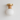 Luminária Arandela Moderna Minimalista Madeira Vidro Vizzan - Ø20x28cm / Carvalho / Madeira, Vidro e Alumínio / Branco Quente (3000K) - ORNE™