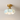 Luminária de Teto Plafon Sobrepor Orgânico Clássico Moderno Vidro Metal Leonis