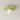Luminária Plafon Moderna Minimalista LED Resina Petals - Verde - ORNE™