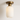 Luminária Plafon Moderna Minimalista Metal Vidro Happan - Ø12x29cm - ORNE™